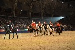 Cavalry - 00357